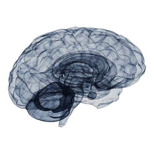 Protocolo de performance sustent&aacute;vel para executivos: HRV, ciclos ultradianos e recupera&ccedil;&atilde;o deliberada